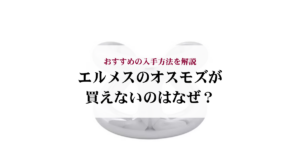 エルメスのオスモズのサイズ感を解説!おすすめの選び方もご紹介