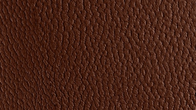 二つ折りでがま口のブランド財布のおすすめ5選をランキングで徹底解説！