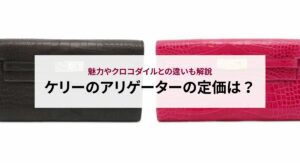 エルメスのケリー「オーストリッチ」の定価はいくら？最新の値上げ状況も解説！