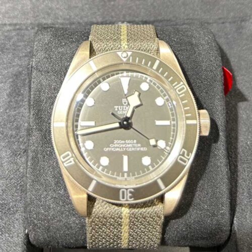 チューダーの種類を人気コレクション別に徹底解説！おすすめのコーディネートも解説