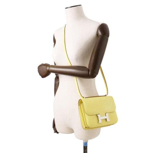 コンスタンスの種類を解説！人気素材やサイズ・入手方法などご紹介