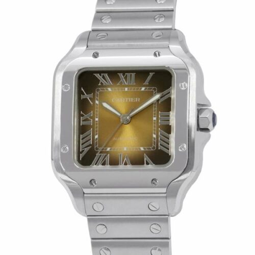 カルティエのサントスの資産価値はどれくらい？注目モデルやおすすめの購入先を解説