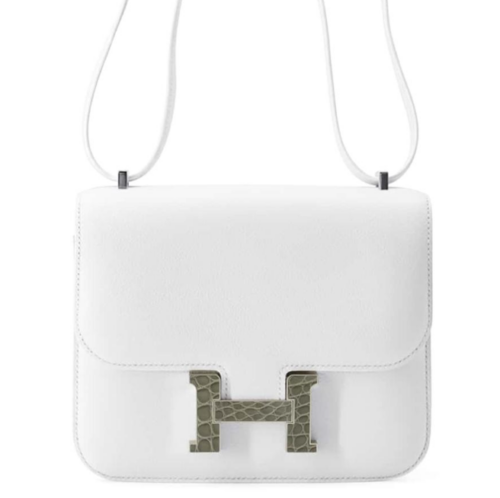 3.コンスタンス ミニ × アリゲーター