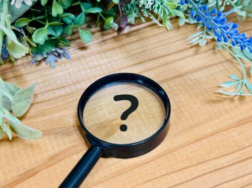 虫メガネ　はてな