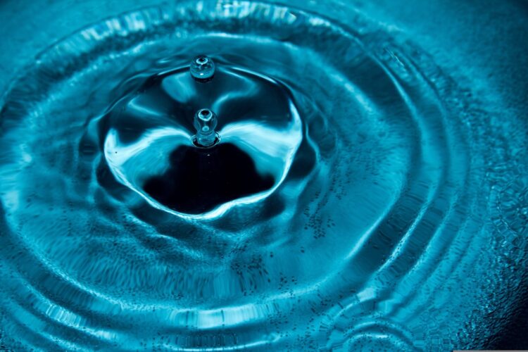 チューダーのフラミンゴブルーは買えない？理由や入手方法をご紹介